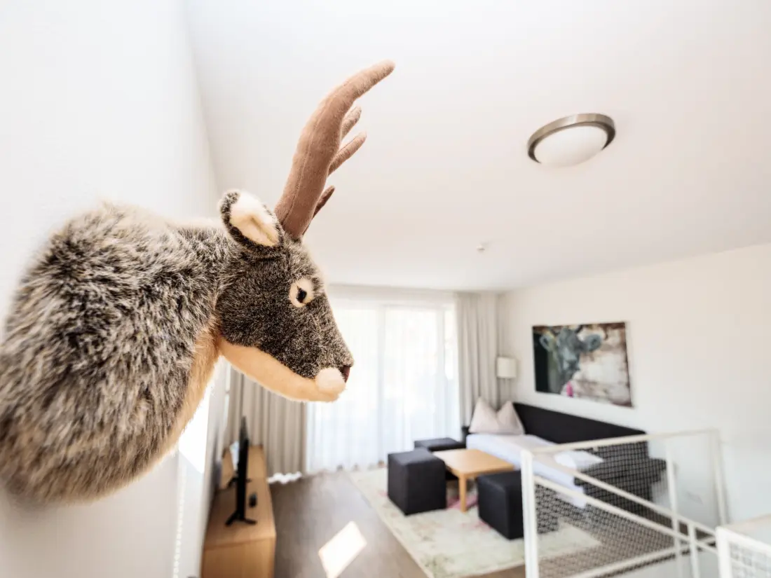 Résidence mit 1 Schlafzimmer & Saunabereich