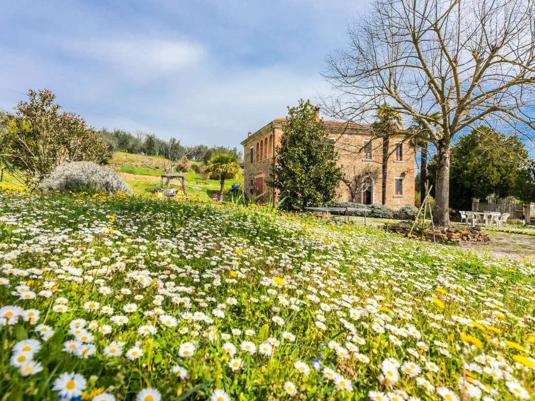 Maison de Vacances Scrofiano