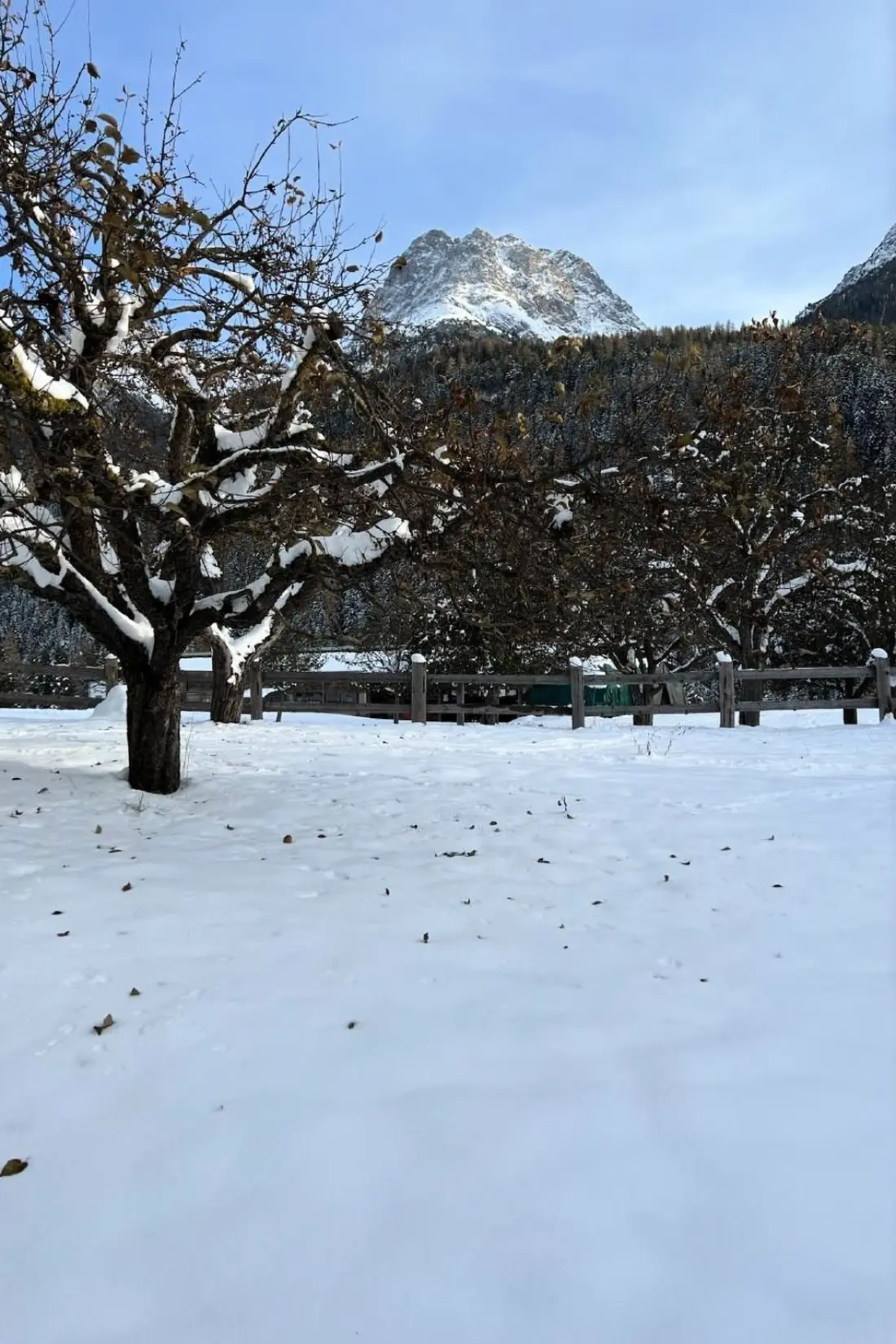 Maison de Vacances Scuol