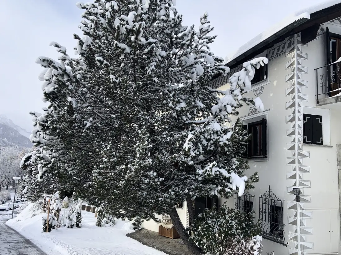 Résidence Chasa Tusa 1, (Scuol)