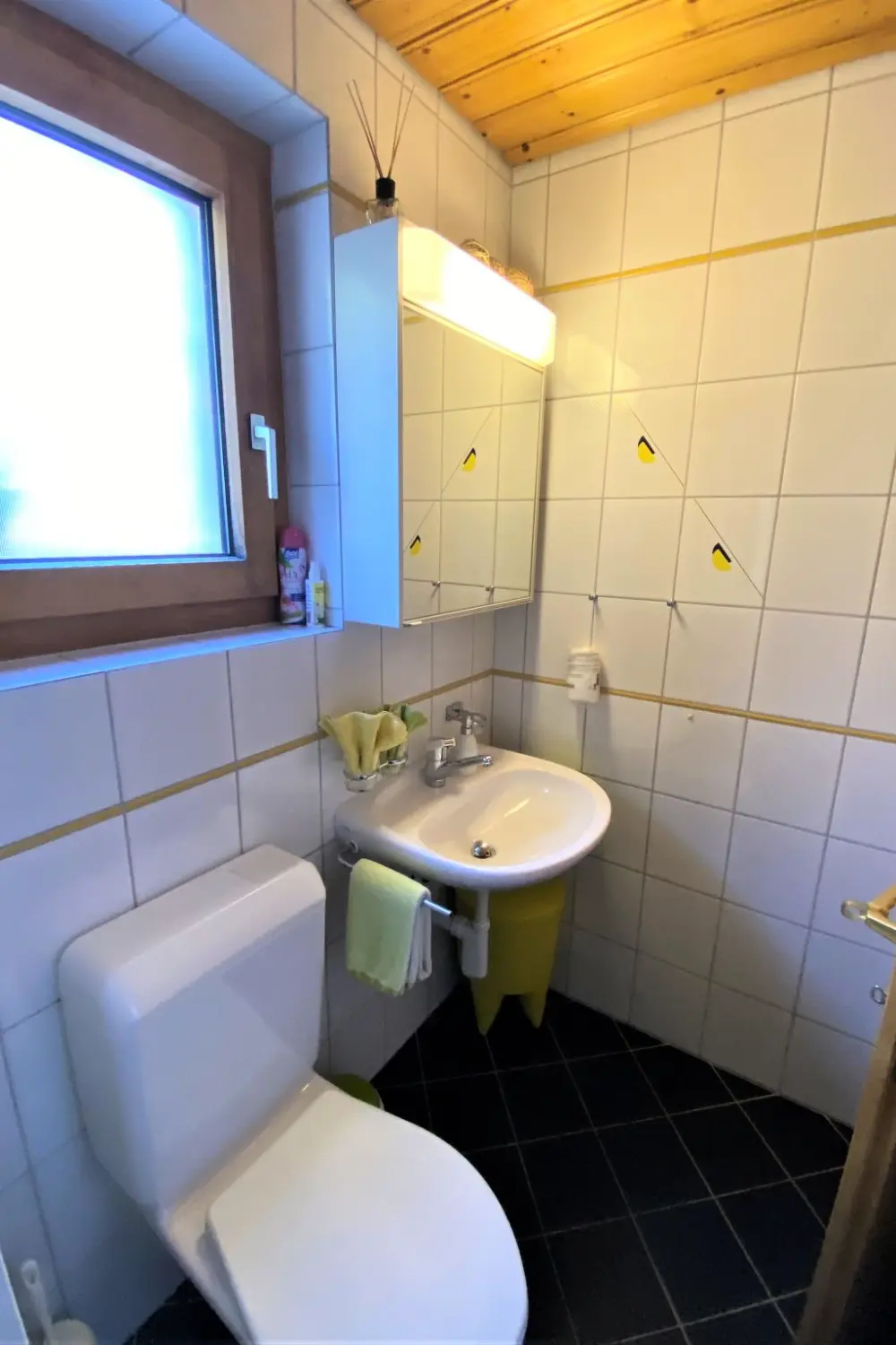 Résidence Ferienwohnungen Senda 495D, (Scuol).
