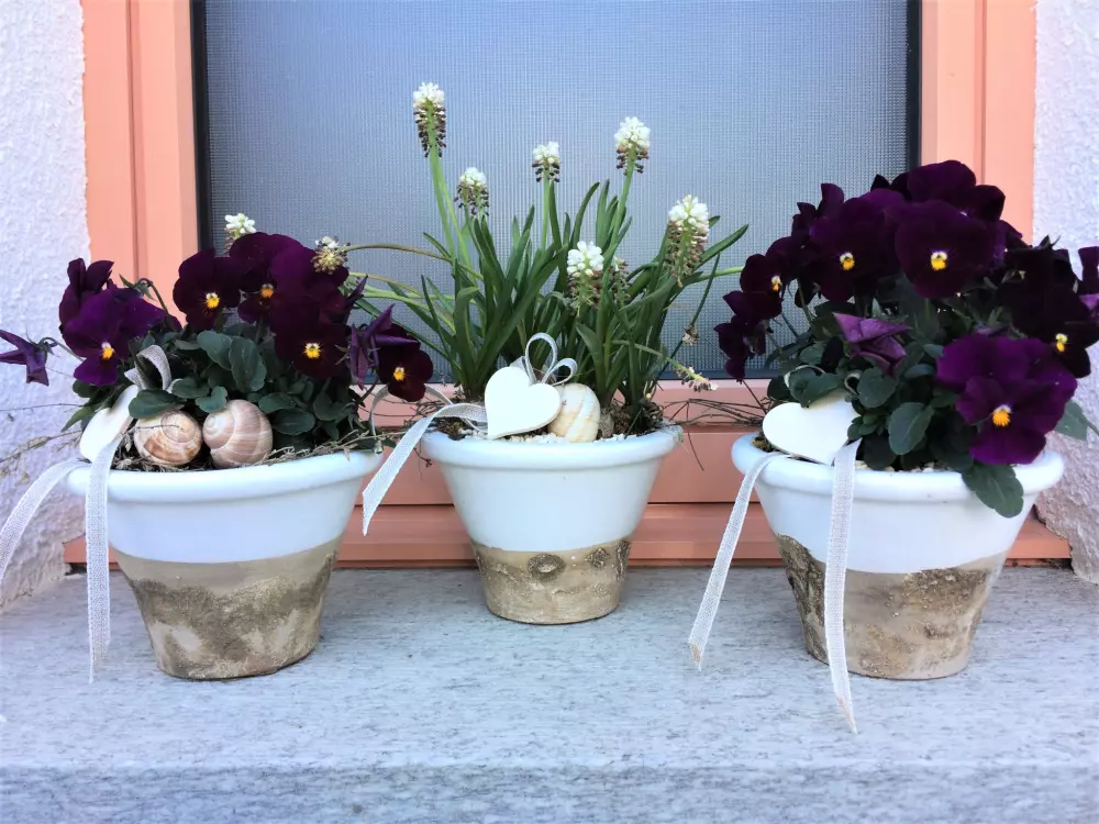 Résidence Ferienwohnungen Senda 495D