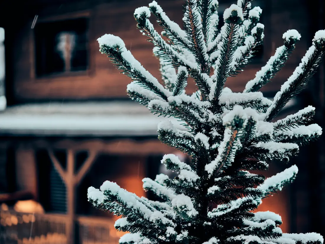 Chalet Seefeld in Tirol