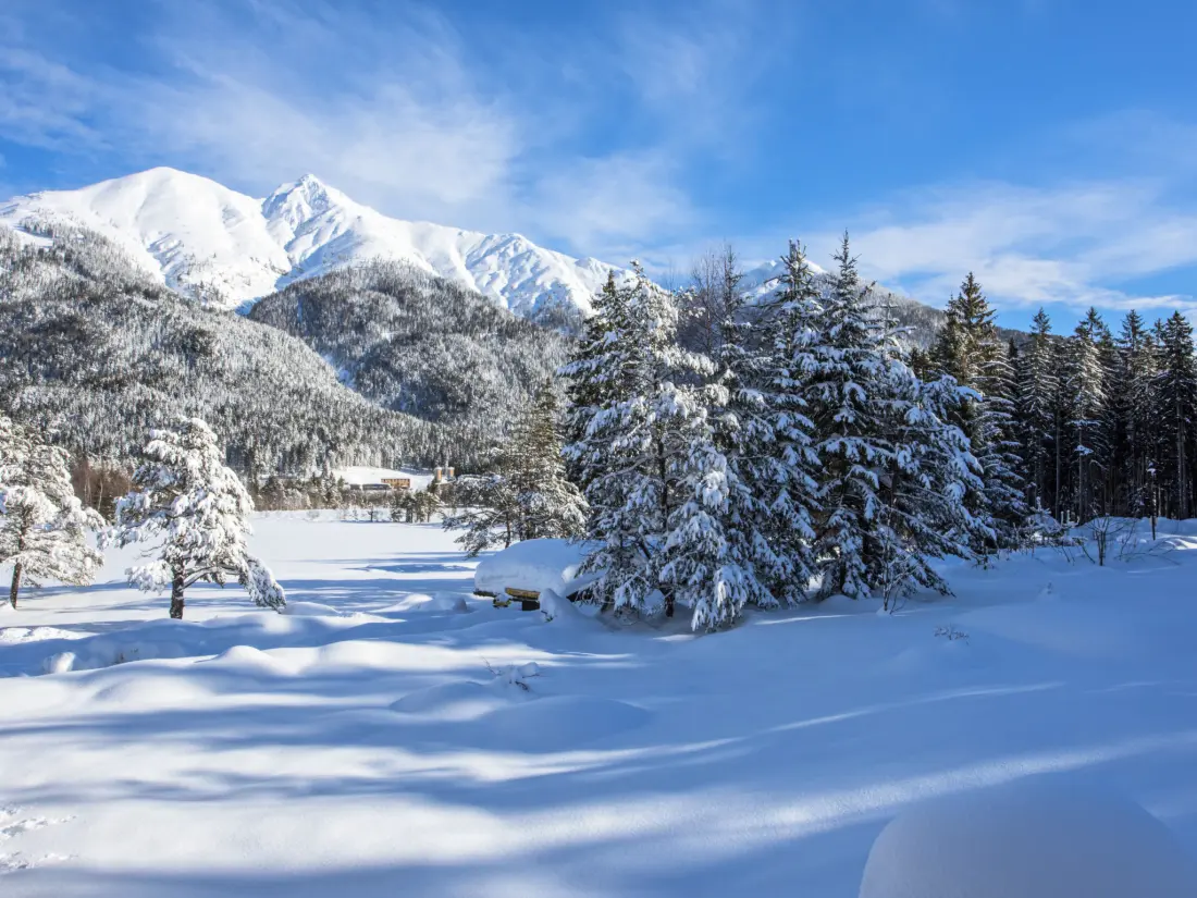 Résidence Waldblick