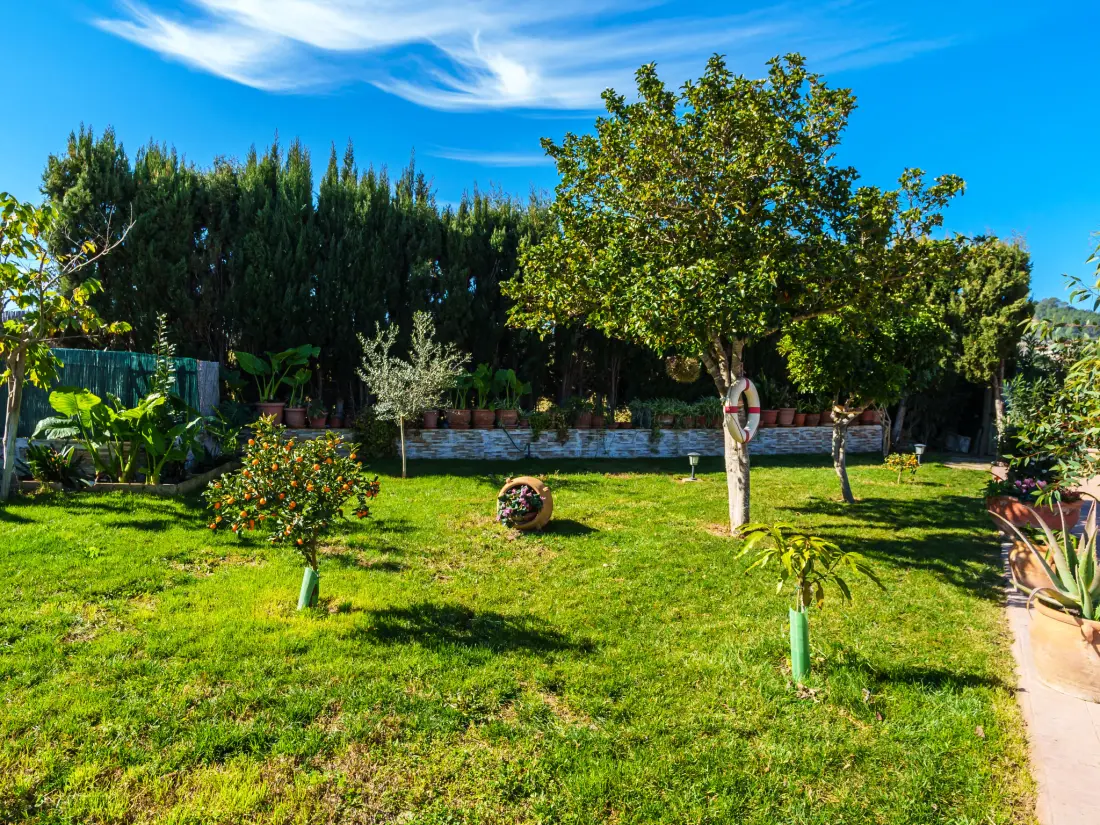 Maison de Vacances Selva