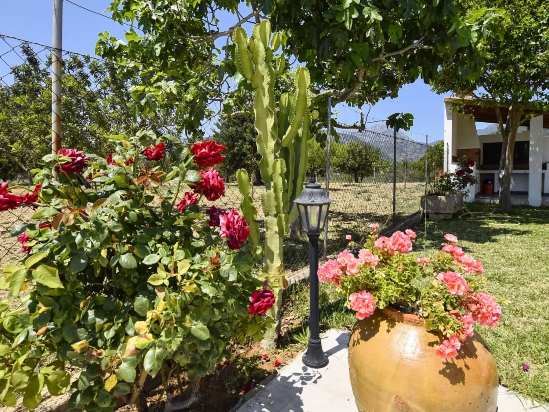 Maison de Vacances Selva
