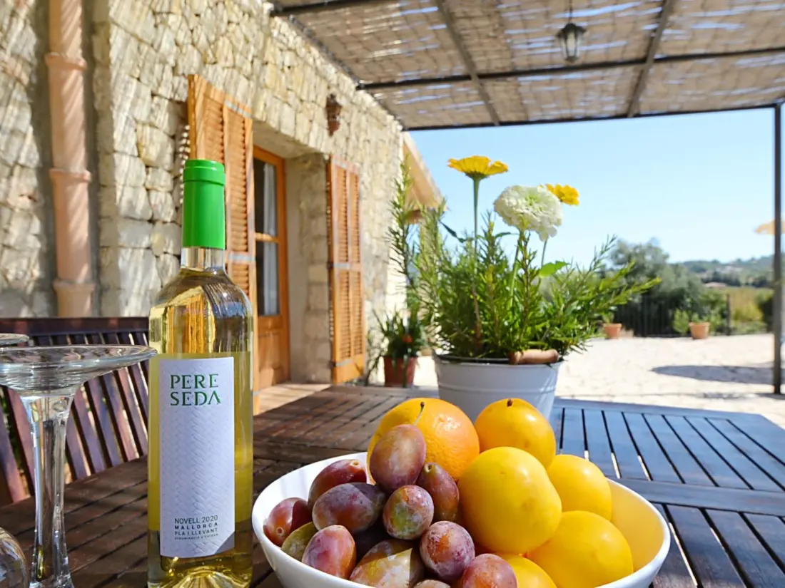 Maison de Vacances Selva
