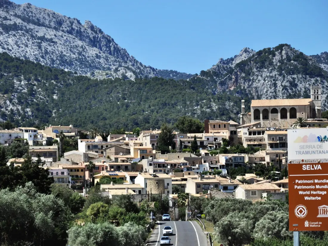 Maison de Vacances Selva