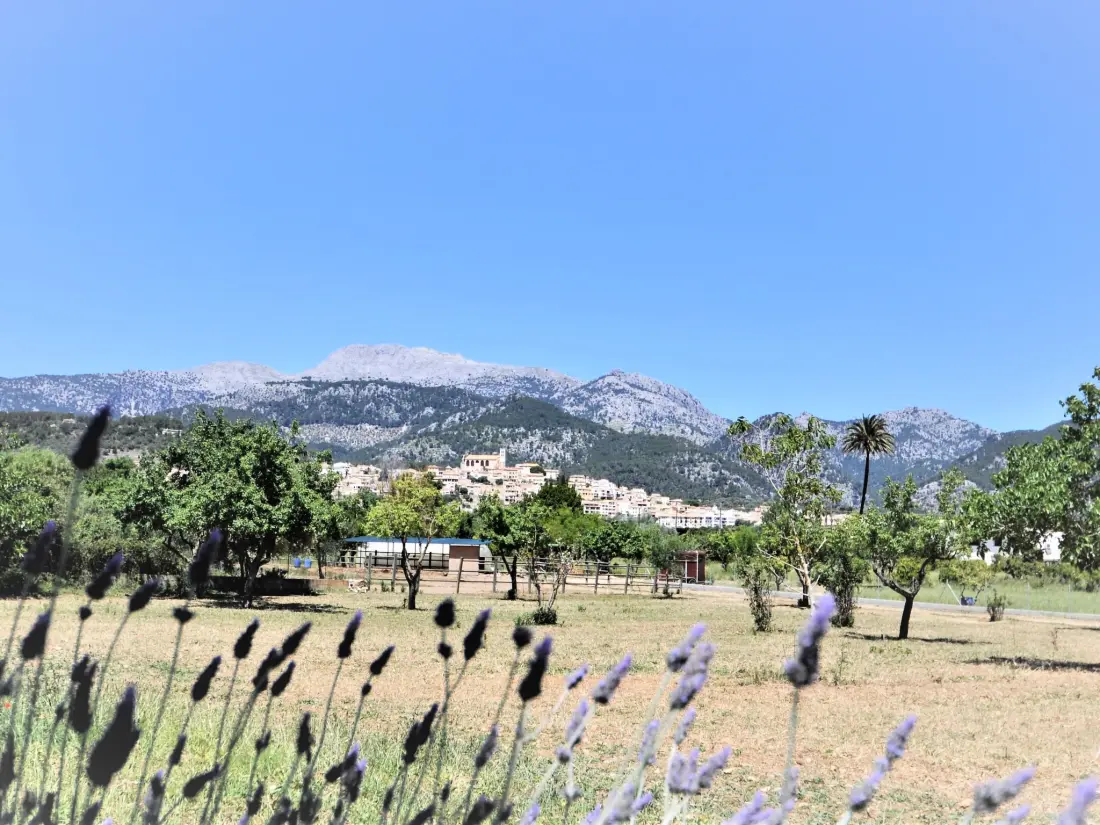 Maison de Vacances Selva