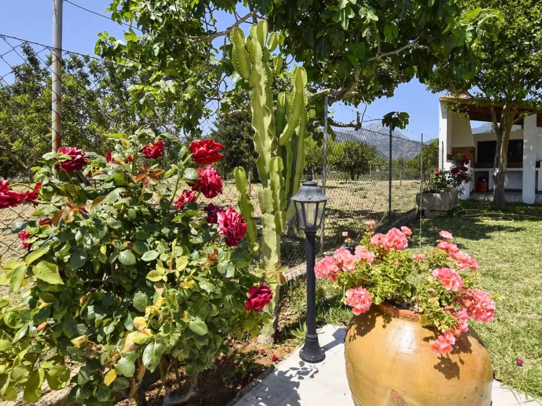 Maison de Vacances Selva