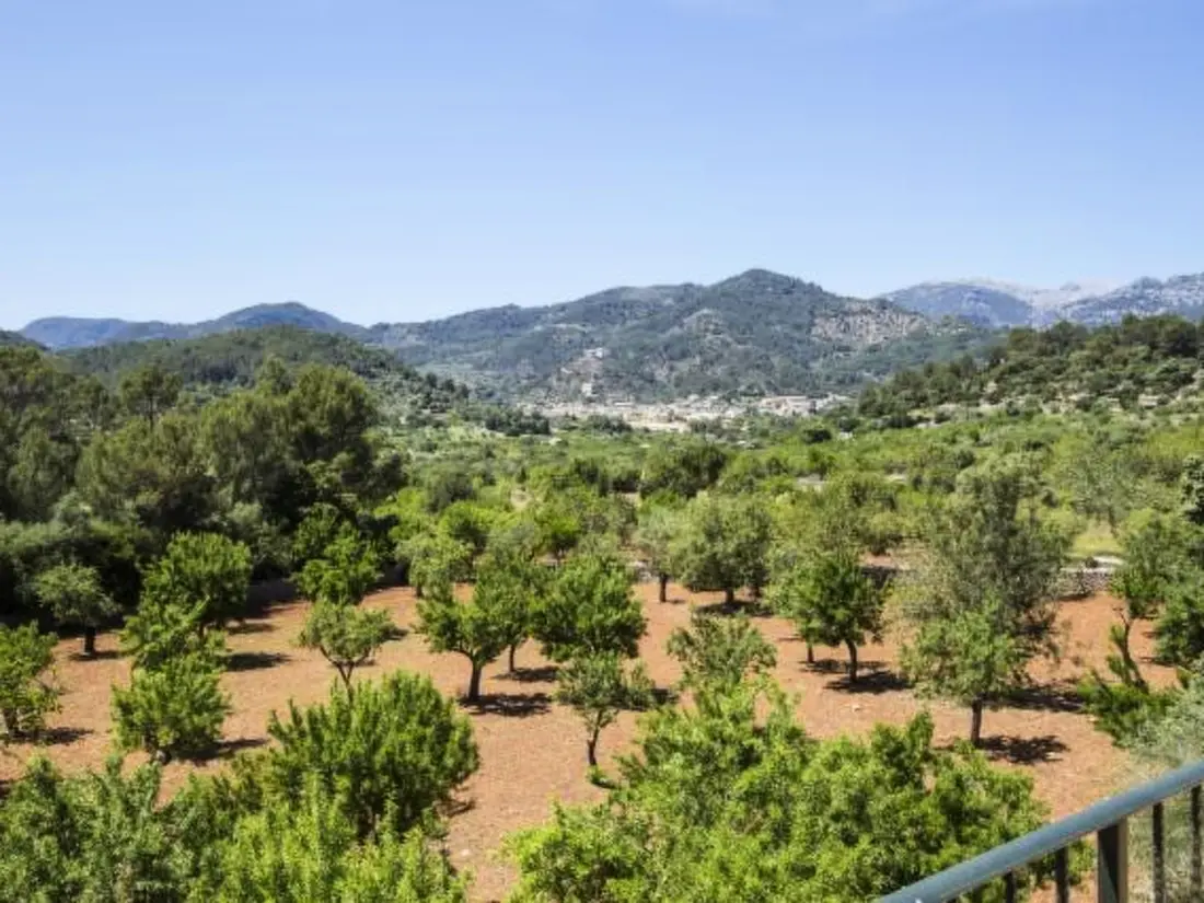 Maison de Vacances Selva