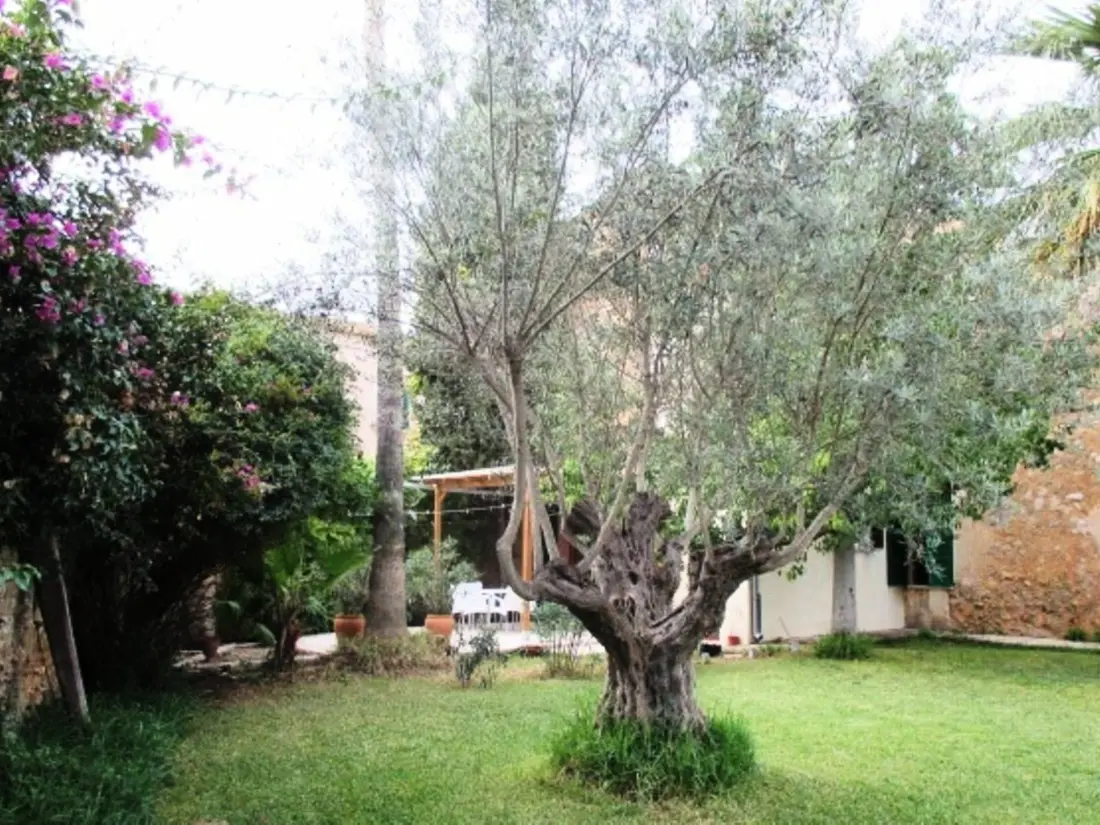 Résidence Garten Appartment