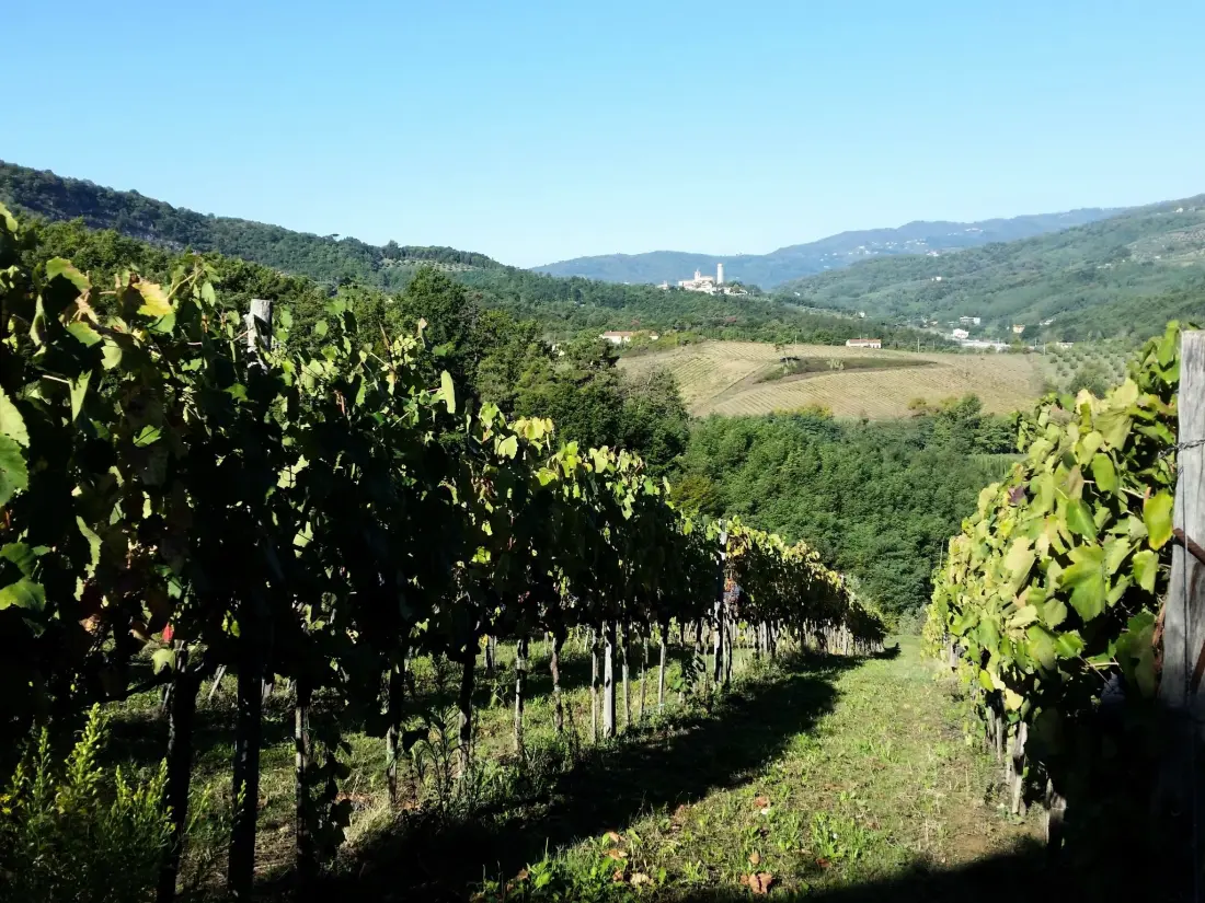 Maison de Vacances Serravalle Pistoiese