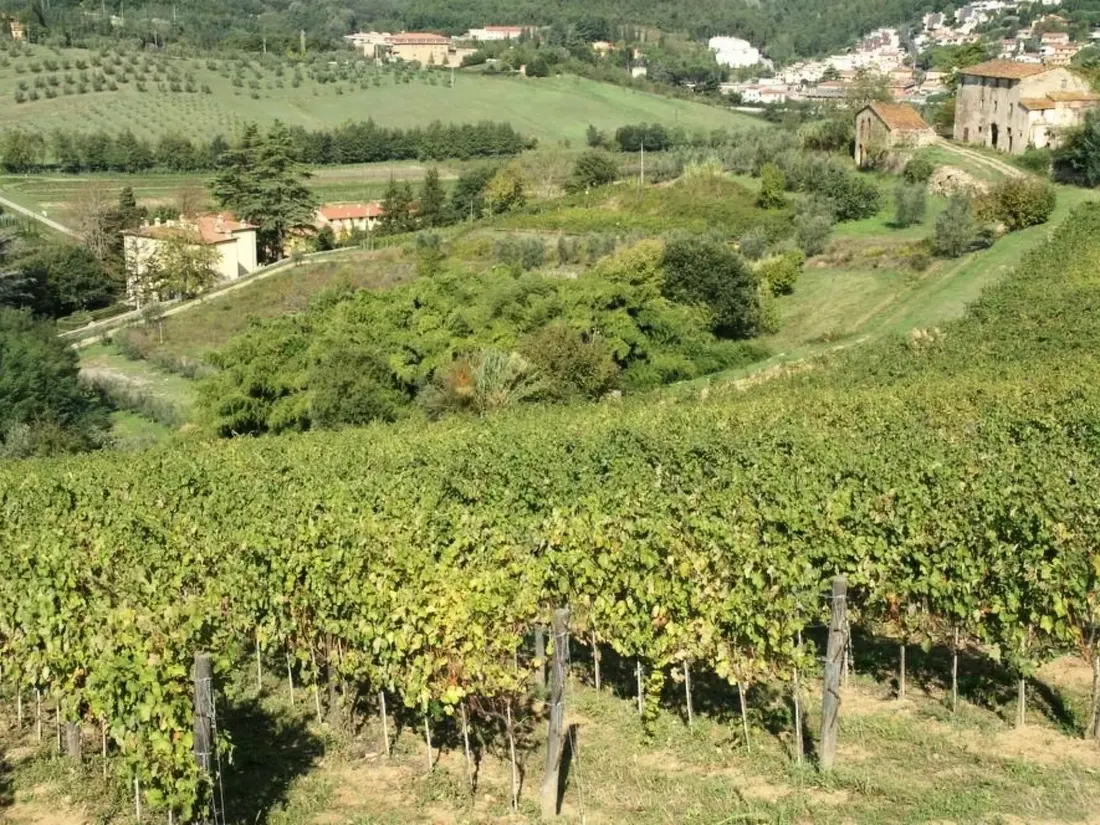 Maison de Vacances Serravalle Pistoiese