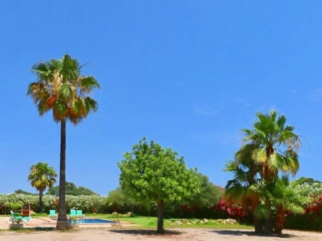Maison de Vacances ses Salines