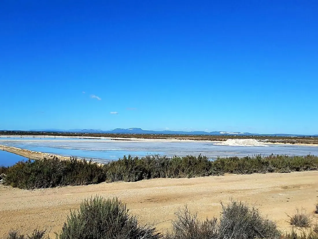 Maison de Vacances ses Salines