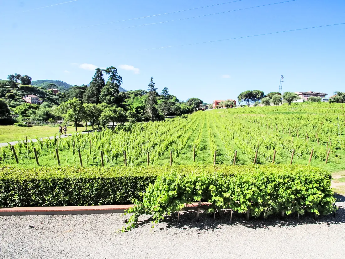 Résidence Casa della Dalcisa