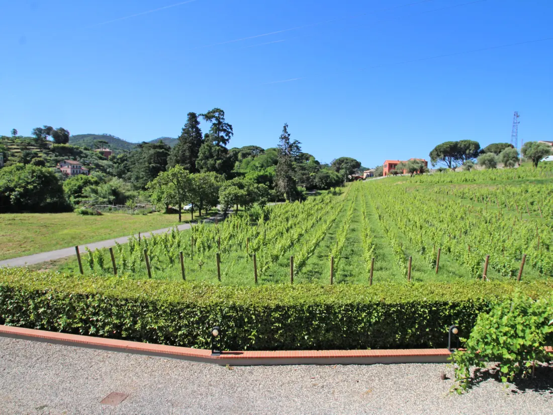 Résidence Casa della Dalcisa