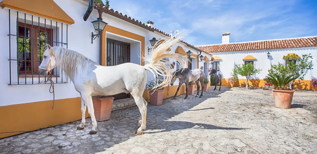 Maison à Setenil de las bodegas