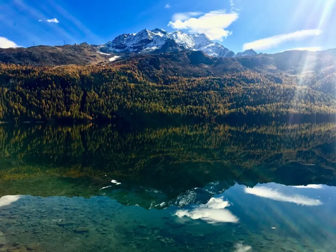 Résidence Maisonette Alpenrose