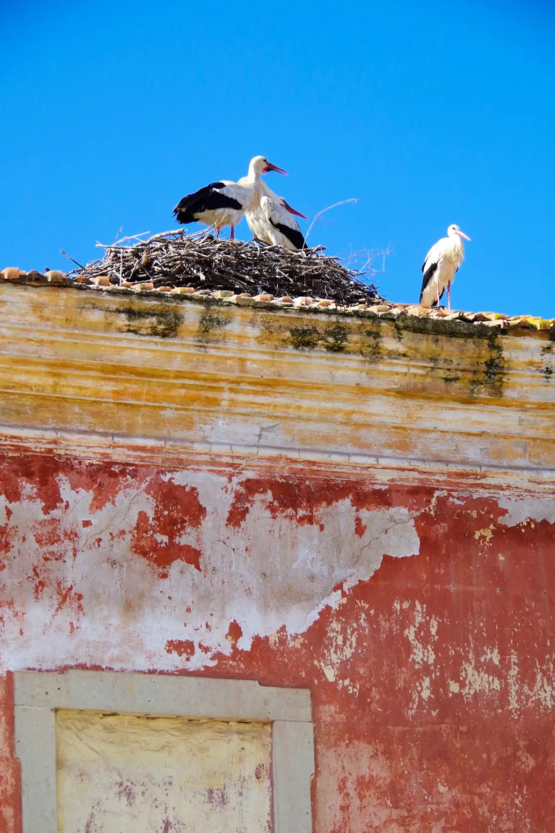 Maison de Vacances Silves