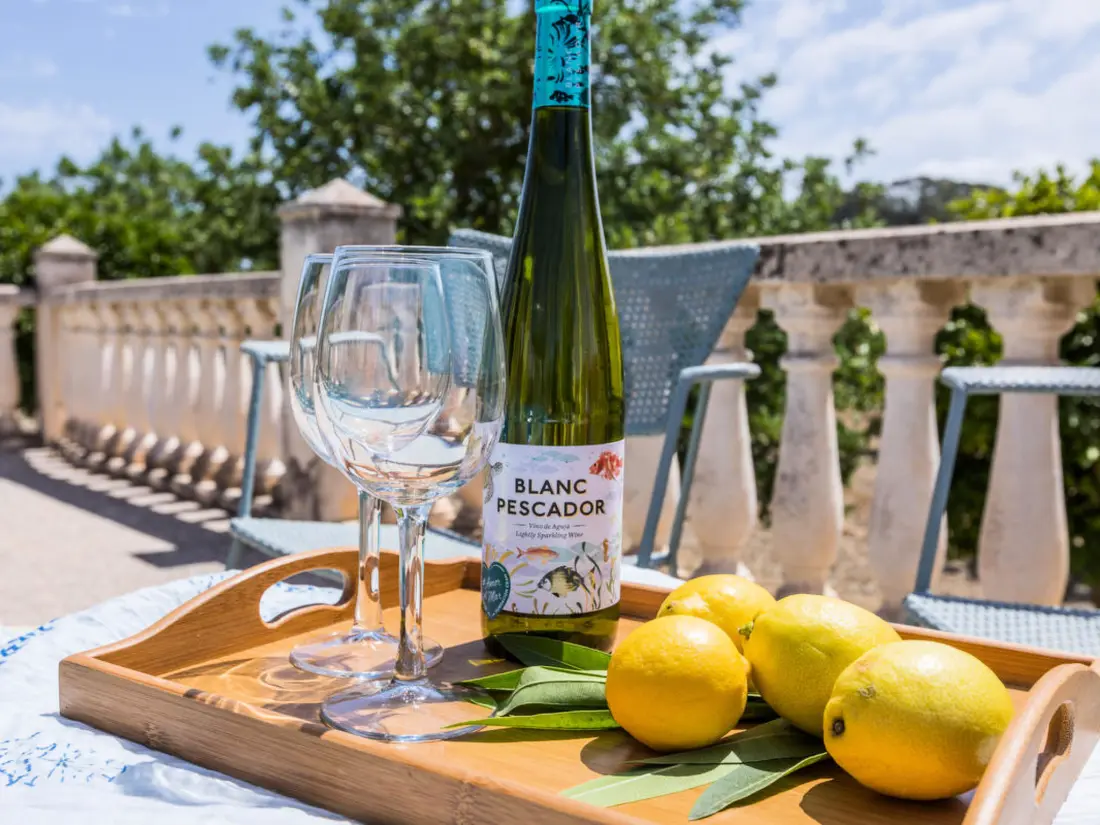 Maison de Vacances Sineu
