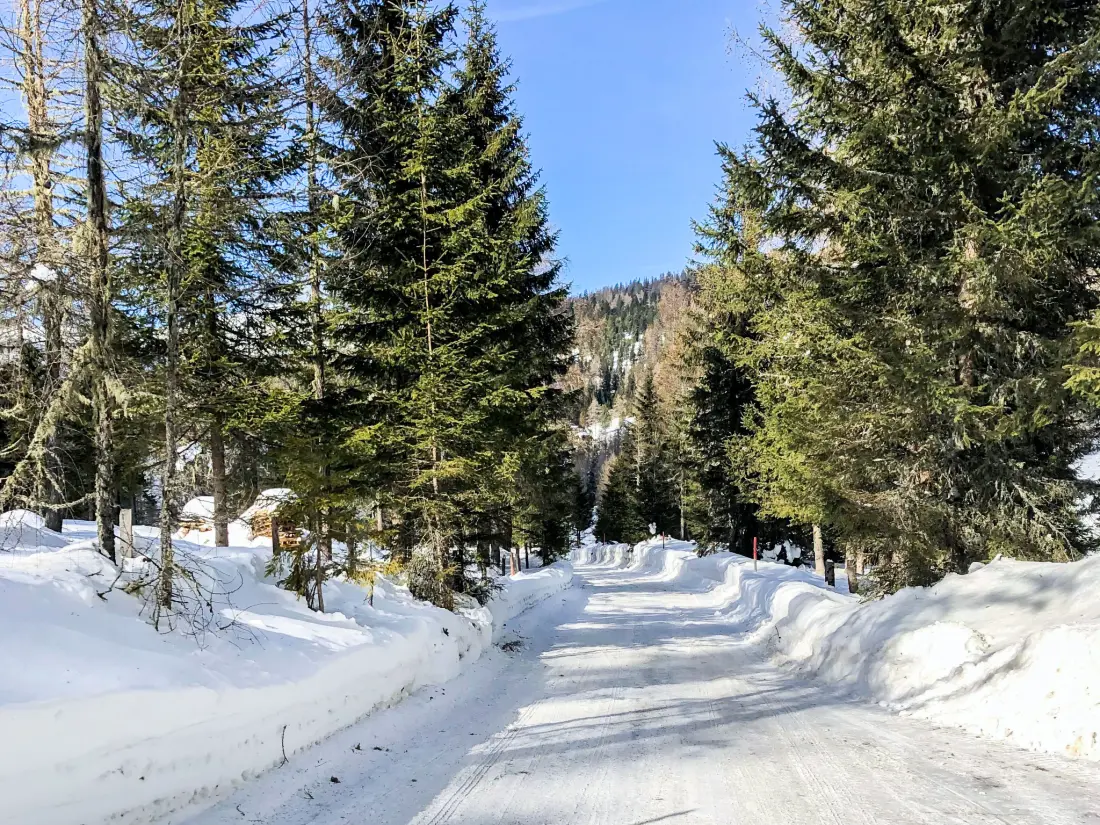 Chalet Sirnitz - Hochrindl
