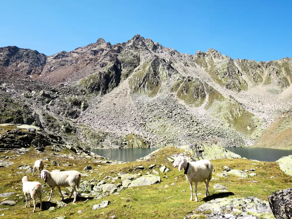 Résidence The Peak Sölden