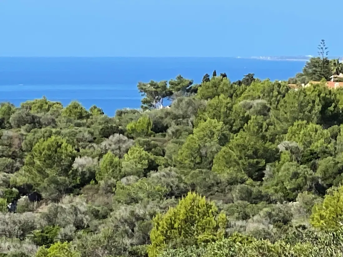 Maison à Son Bou