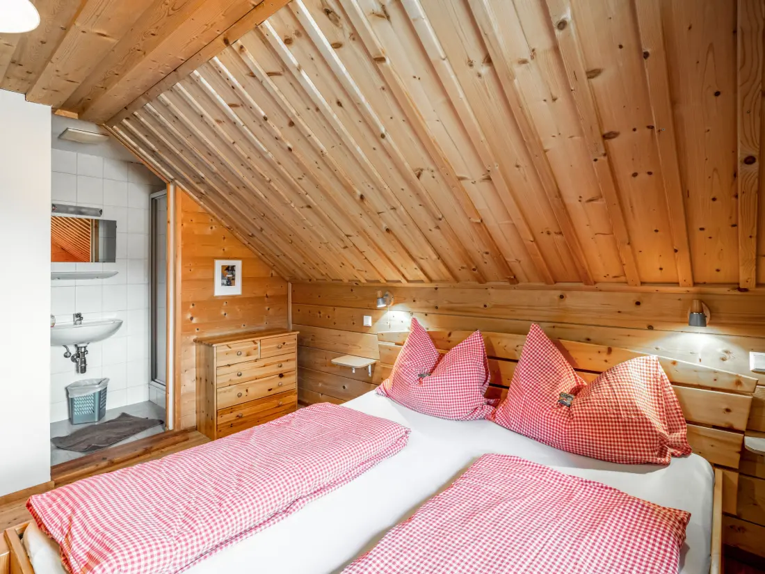 Chalet Stein an der Enns