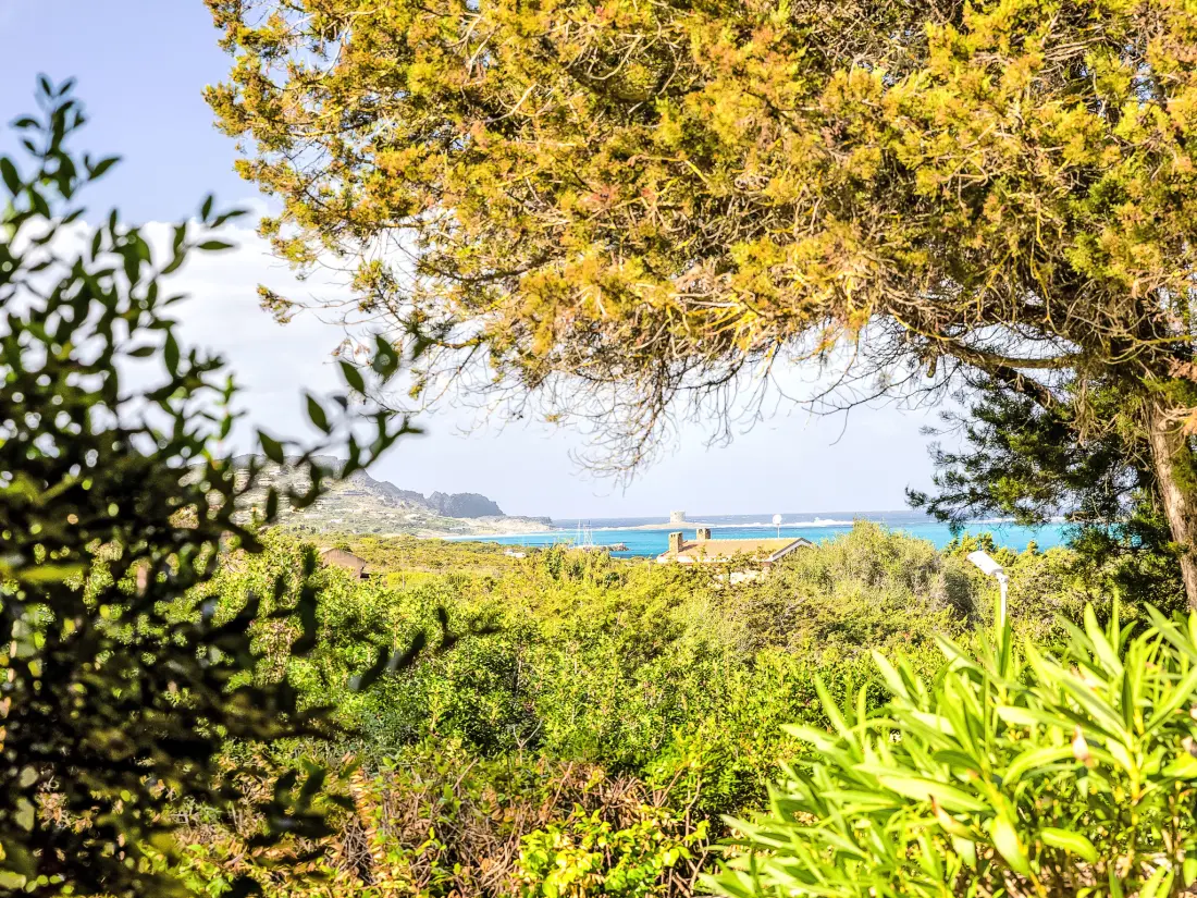 Maison de Vacances Stintino