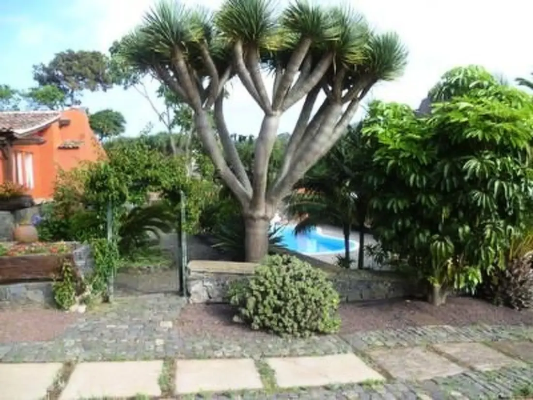 Maison de Vacances Tacoronte