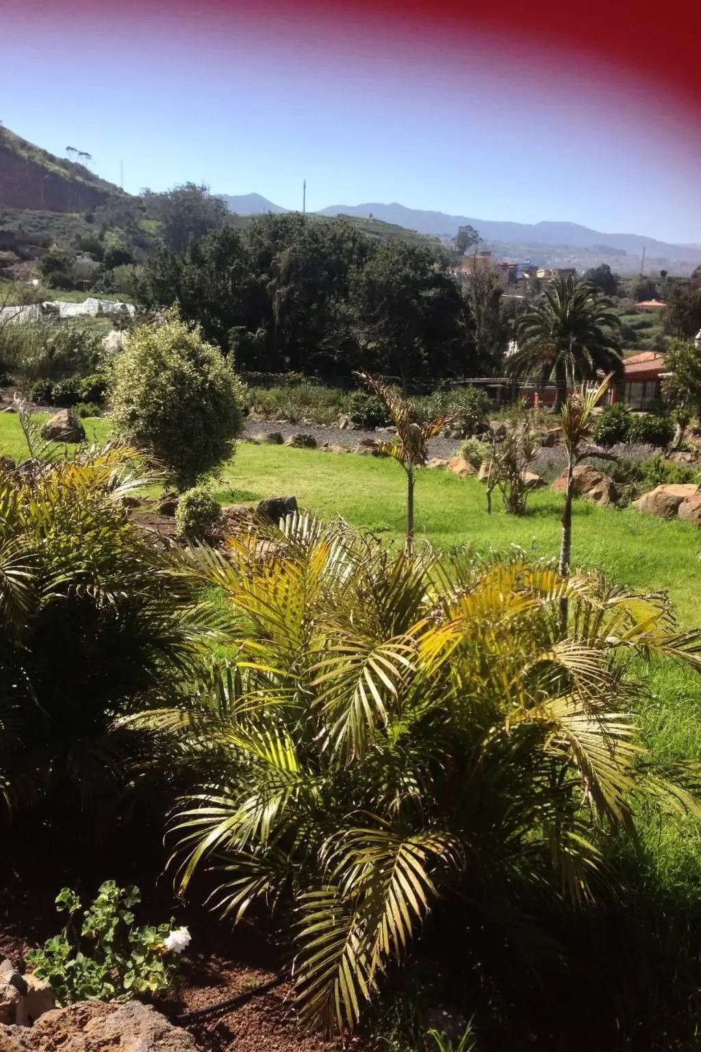 Maison de Vacances Tacoronte