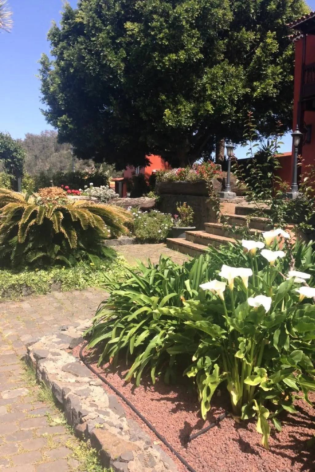 Maison de Vacances Tacoronte