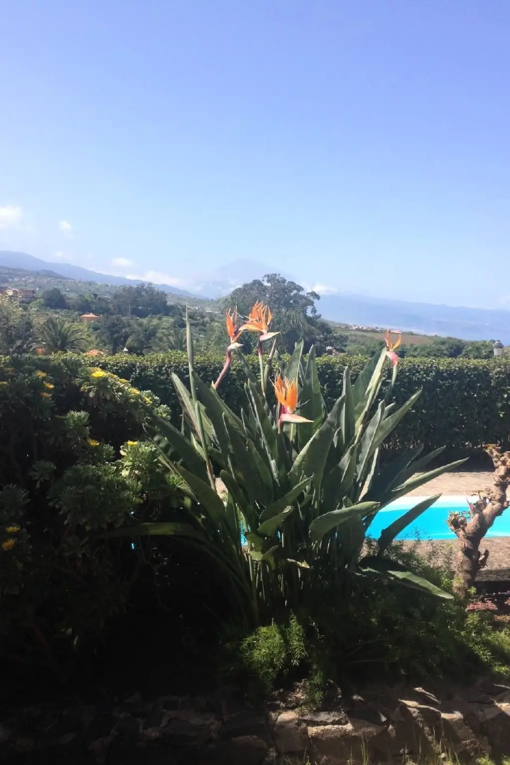 Maison de Vacances Tacoronte