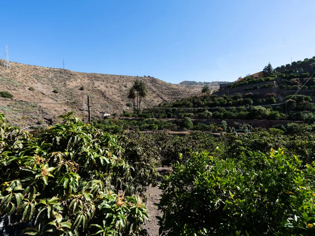 Résidence Urlaub & Gesundheit in FINCA OASIS - VILLA 8