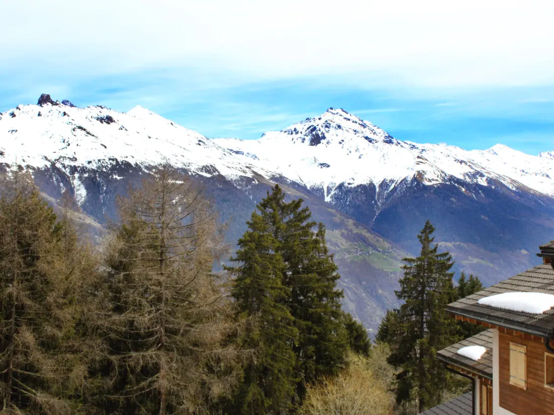 Chalet Thyon-Les Collons