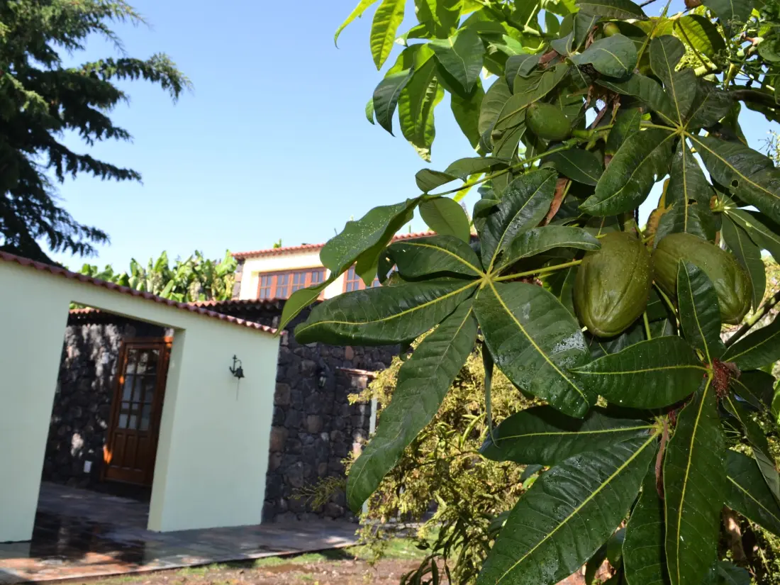 Maison de Vacances Tijarafe