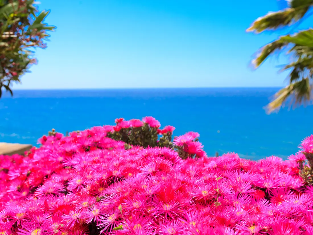 Maison de Vacances Torrox Costa