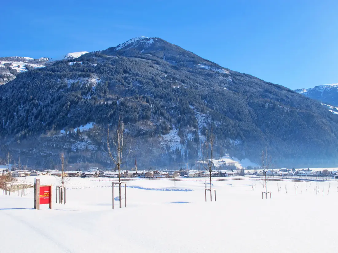 Résidence Erzherzog’s Apts/Zillertal Alpen Lodge