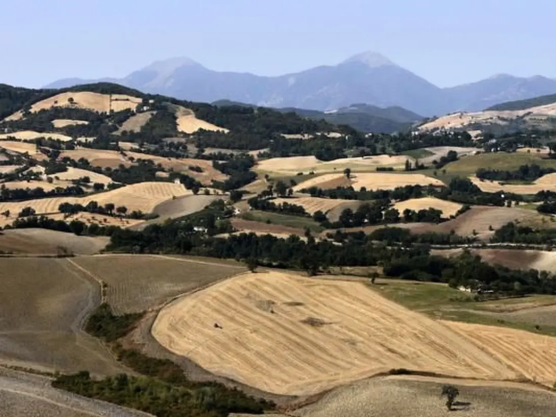 Maison de Vacances Urbino