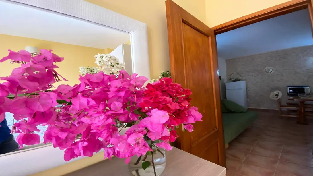 Appartements à Valle Gran Rey - Ile de La Gomera