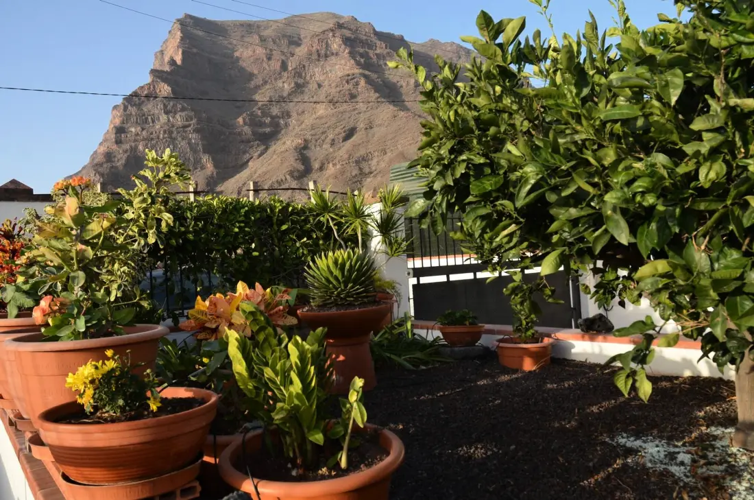 Appartements à Valle Gran Rey - Ile de La Gomera