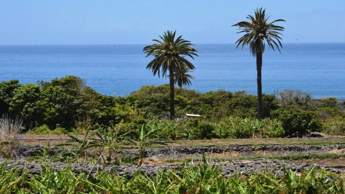 Appartements à Valle Gran Rey - Ile de La Gomera