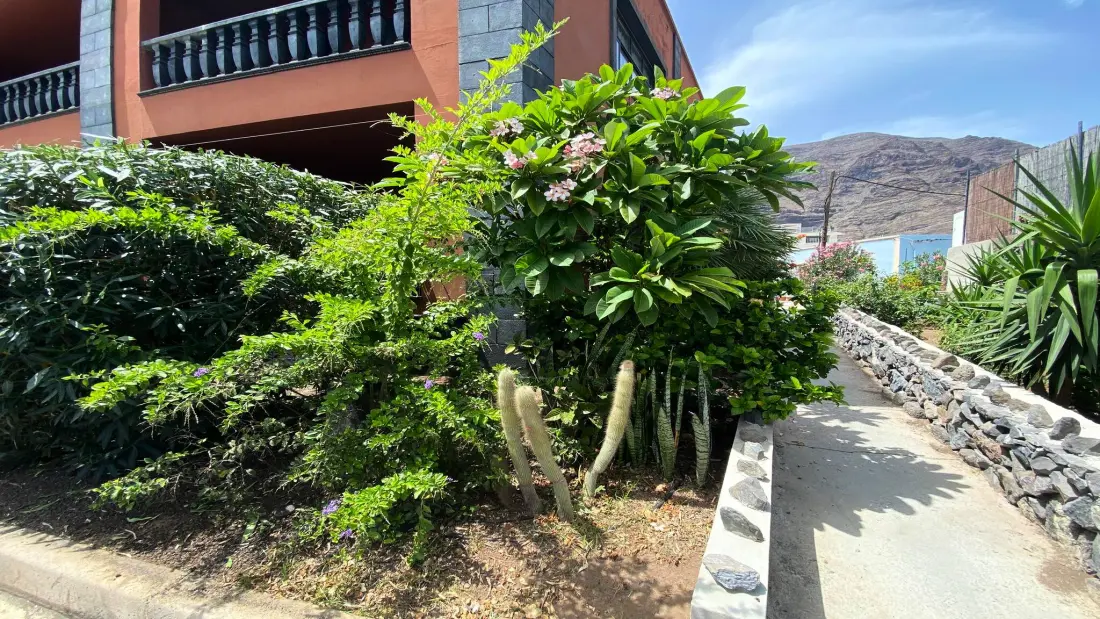 Appartements à Valle Gran Rey - Ile de La Gomera