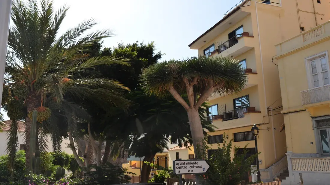 Appartements à Valle Gran Rey - Ile de La Gomera