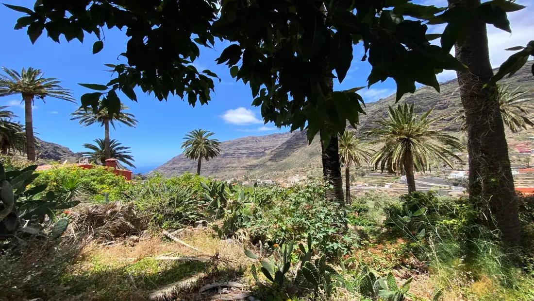 Maison à Valle Gran Rey - Ile de La Gomera