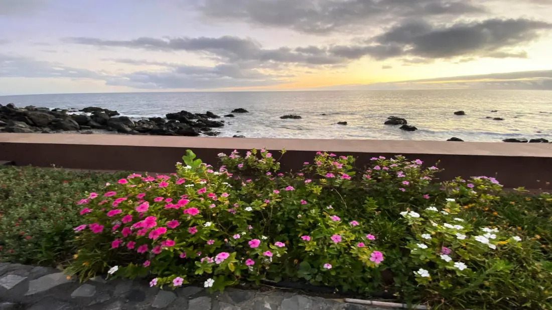 Maison à Valle Gran Rey - Ile de La Gomera