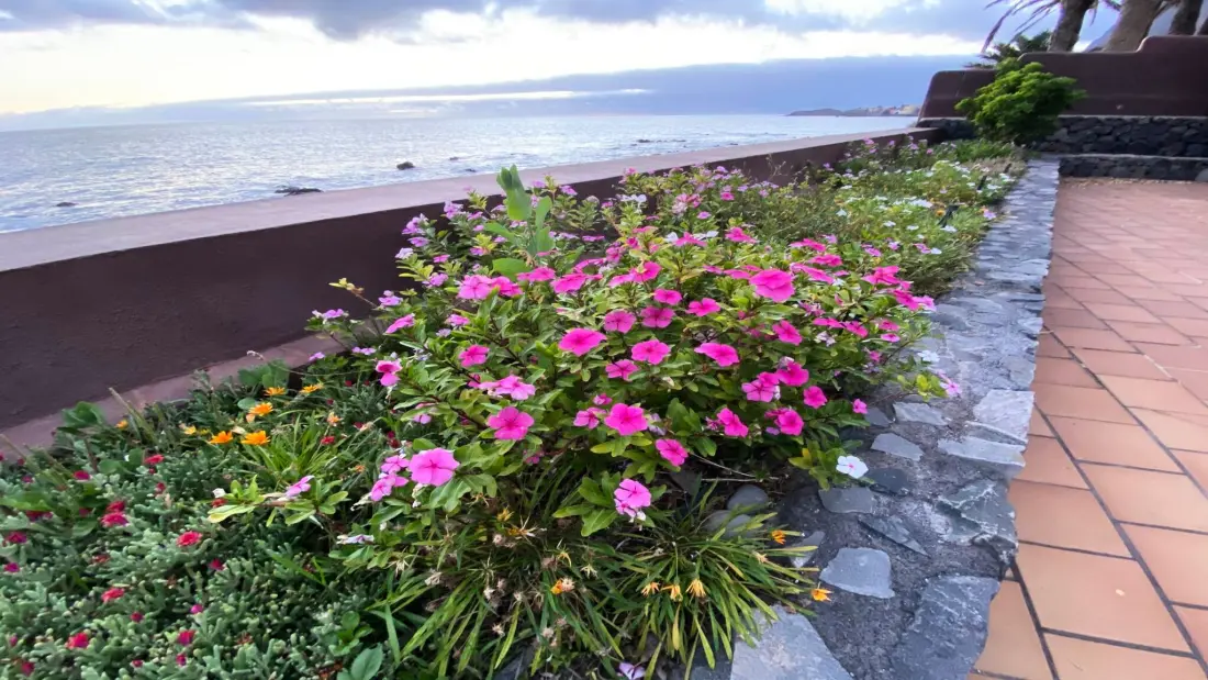 Maison à Valle Gran Rey - Ile de La Gomera