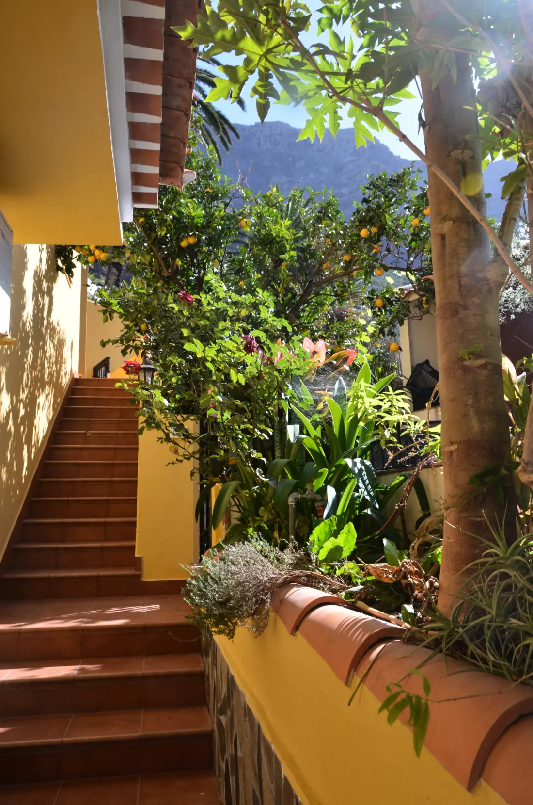 Maison à Valle Gran Rey - Ile de La Gomera